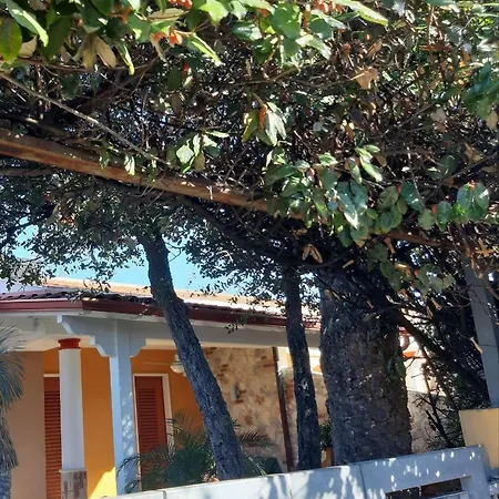Alice Holiday home *